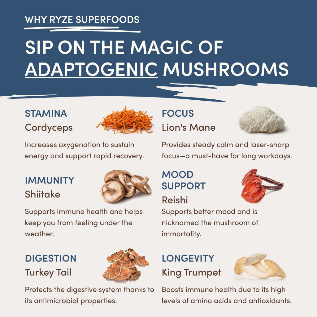 RYZE Nighttime Mushroom Cocoa Starter Bag - YHL1
