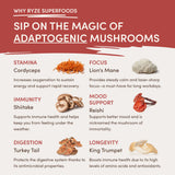 RYZE Mushroom Chai Starter Bag - 7LAV