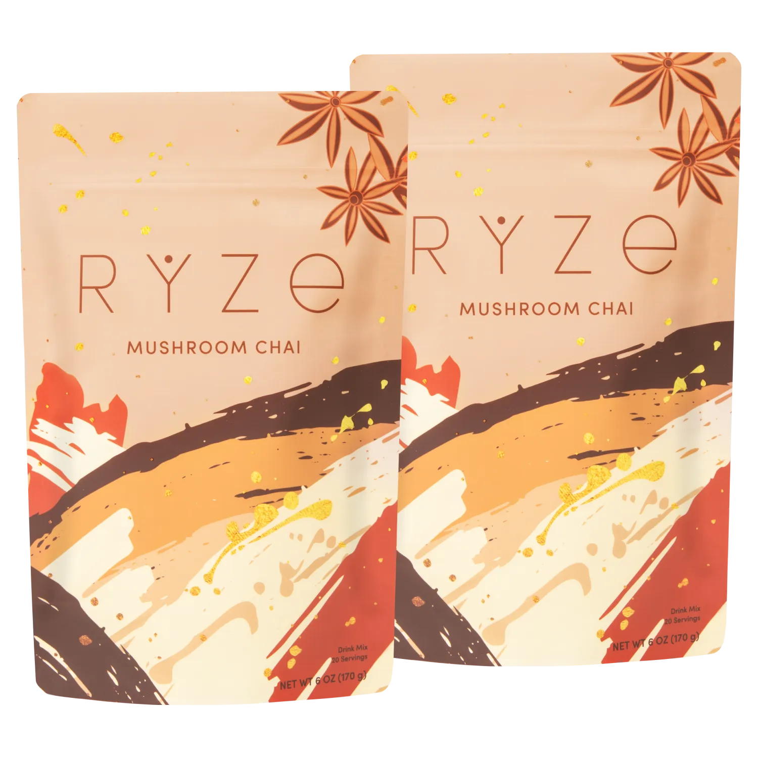 Mushroom Chai Starter Kit: 40 Servings - RXKP