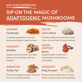 Mushroom Coffee (1 pack - 30 Servings) - AEZG