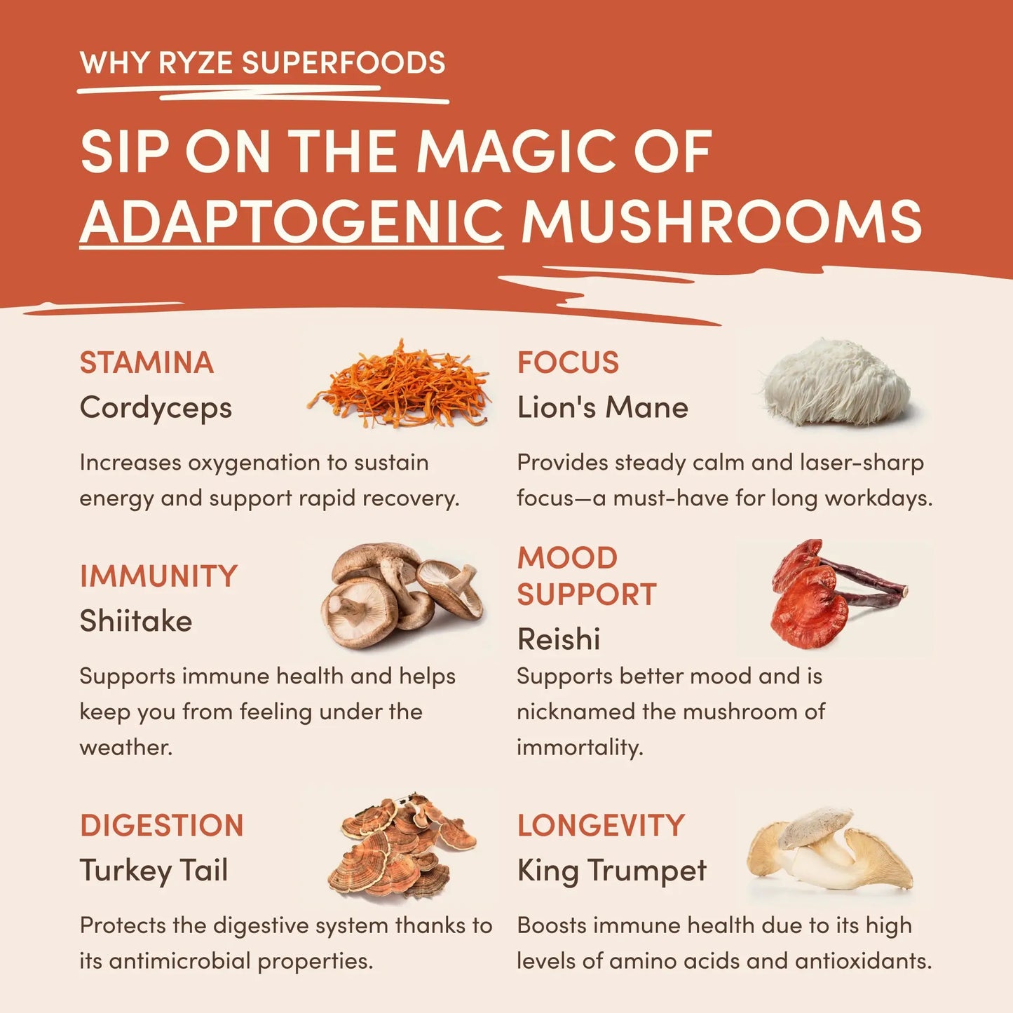 Mushroom Coffee (1 pack - 30 Servings) - AEZG