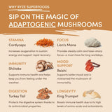 Mushroom Overnight Oats (14 Servings) - 6HNC