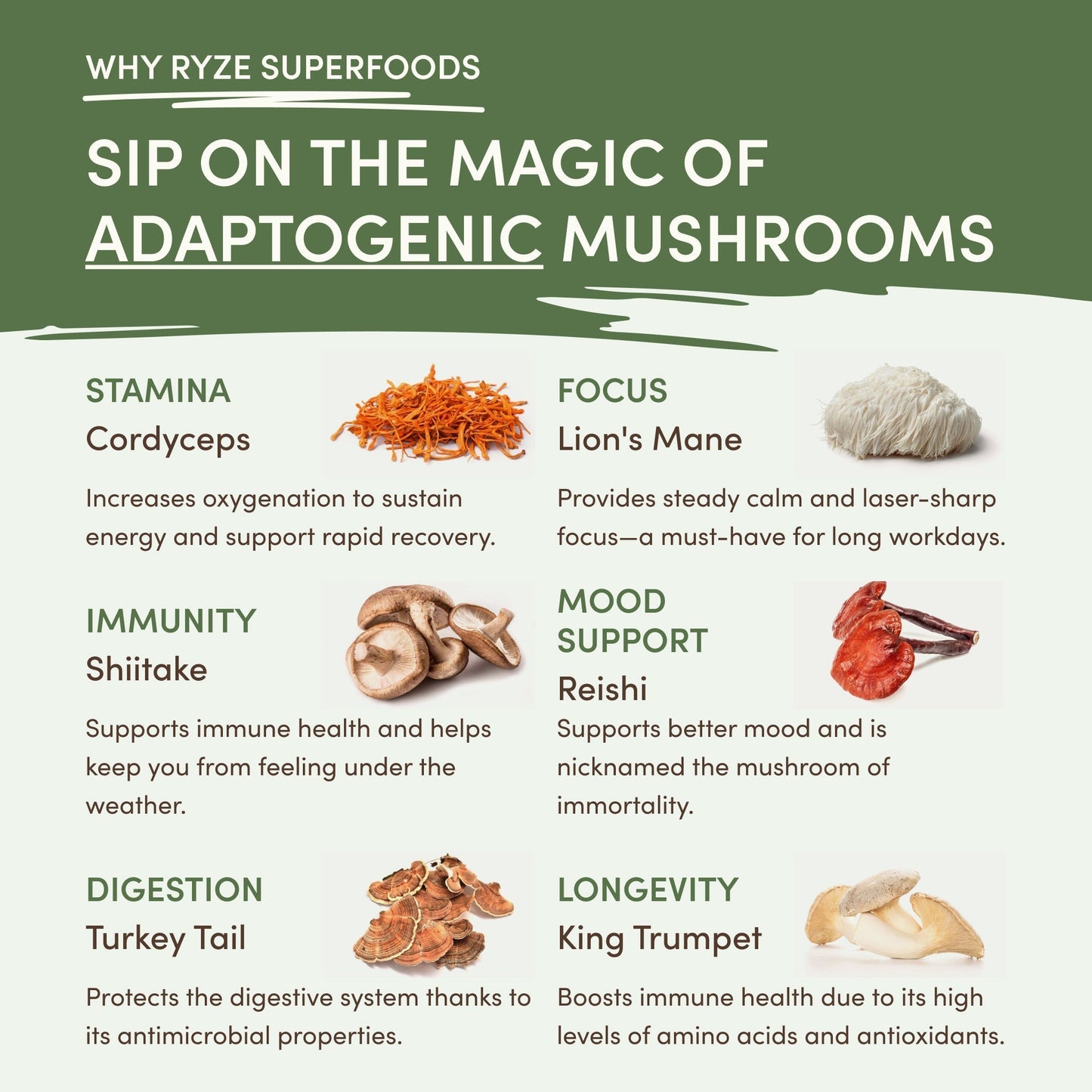 Mushroom Matcha (1 Pack - 30 Servings) - N3CL
