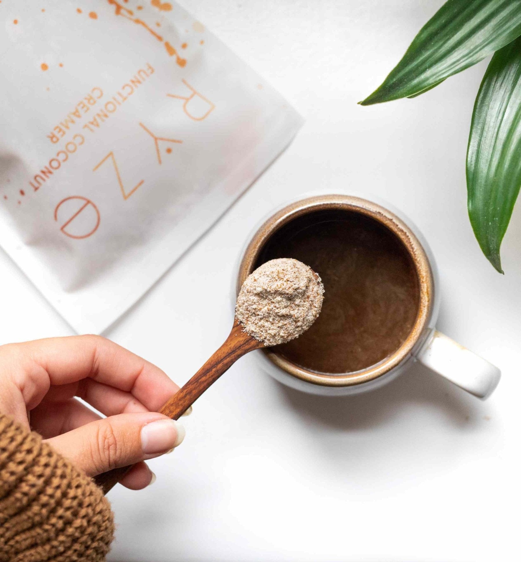 Probiotic Creamer (SPECIAL PRICING) - M77Q