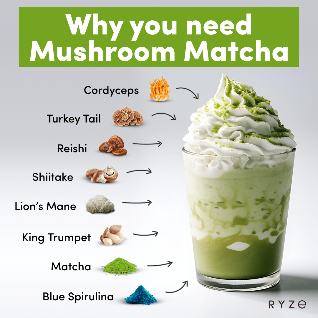 RYZE Mushroom Matcha - with 6 Organic Adaptogenic Mushrooms Grown In USA and Ceremonial-Grade Japanese Matcha - N85D