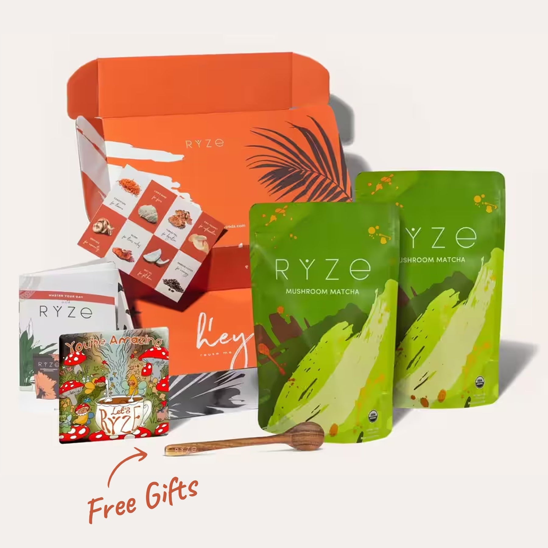 RYZE Organic Mushroom Matcha Starter Kit (60 servings) - TE96