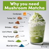 RYZE Organic Mushroom Matcha Starter Kit (60 servings) - TE96
